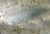 DSCN4776.2.jpg