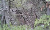 20181118_105820.jpg