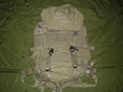 DSC05320.jpg