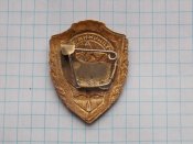 Отличник  ВВС Военно воздушных сил СССР.Латунь,эмали.