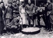 Spanish Blue Division.jpg
