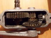 SDC19537.JPG