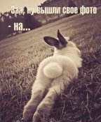 CA1F49D9-B900-4BB9-8E81-2E80BB21D358.jpeg