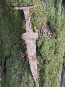 IMG_20181117_115641.jpg