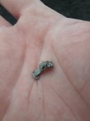 20181125_110301.jpg