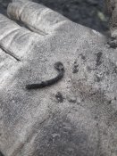 20181125_123817.jpg
