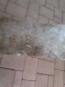 2012-08-01 10.11.48.jpg