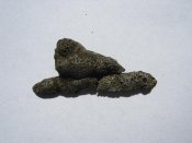 IMG_1674.jpg