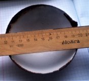 DSC07028.JPG