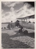 Stieglitz11.jpg