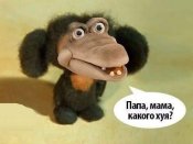 IMG-4cddb6bd9a16d1e3b881c138360d7f9f-V.jpg