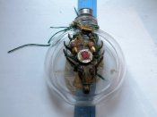DSCN4657.JPG