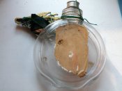 DSCN4661.JPG
