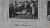 Журнал " Нива" № 31 1911 г