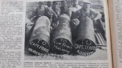 Журнал " Нива" № 45 1916 г