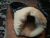 IMG_20181201_103253.jpg
