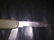 IMG_20181115_194557.jpg