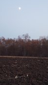 Обручалка+бонус