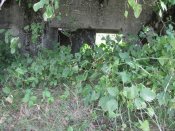 IMG_2134.jpg
