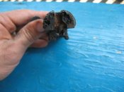 IMG_4966 [Разрешение рабочего стола].jpg