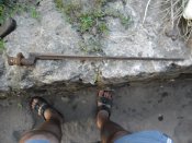 SAM_0196.jpg
