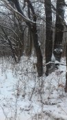 20181205_120459.jpg