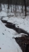 20181205_122748.jpg