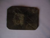 1_650_Pryaga_9982198.jpg