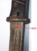 DSCF2391.jpg