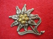 Знак кокарда Эдельвейс