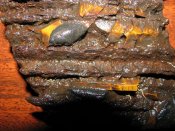 IMG_4599.jpg