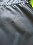IMG_20181208_090921.jpg
