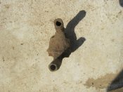 IMG_3365.jpg