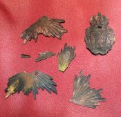 IMG_1906.JPG