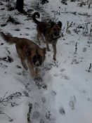 20181209_132659.jpg