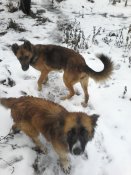 20181209_132714.jpg