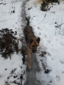 20181209_132501.jpg
