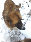 20181209_132746.jpg