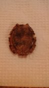 IMG_20181209_185855.jpg
