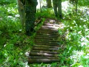 21052007073.jpg