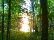 21052007075.jpg