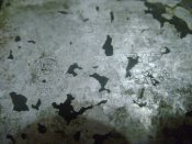 DSC03106.JPG