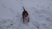 IMG_20181212_123556.jpg