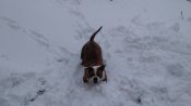 IMG_20181212_123557.jpg
