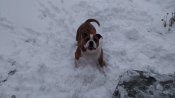 IMG_20181212_123559.jpg