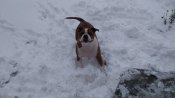 IMG_20181212_123600_1.jpg