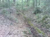 DSC00358.jpg