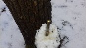 20181213_123813.jpg