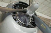 tbm-3e_avenger_04_of_96.jpg