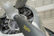 tbm-3e_avenger_05_of_96.jpg